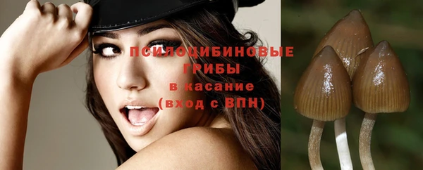 jwh Богородицк
