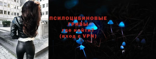 jwh Богородицк