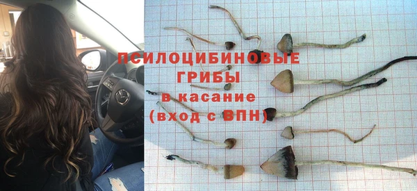 альфа пвп Богданович