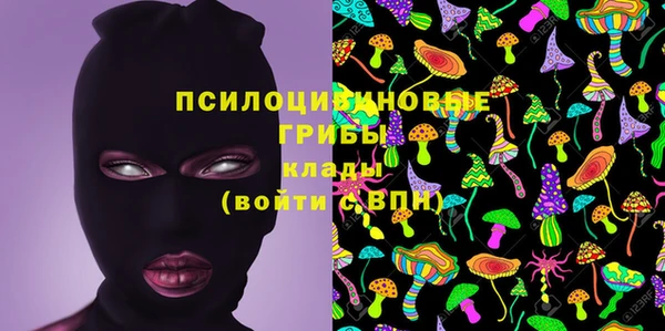 гашик Белоозёрский